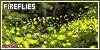 fireflies | 