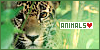 Animals | 