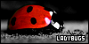 Lady Bugs