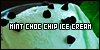 Mint Chocolate Chip Ice Cream